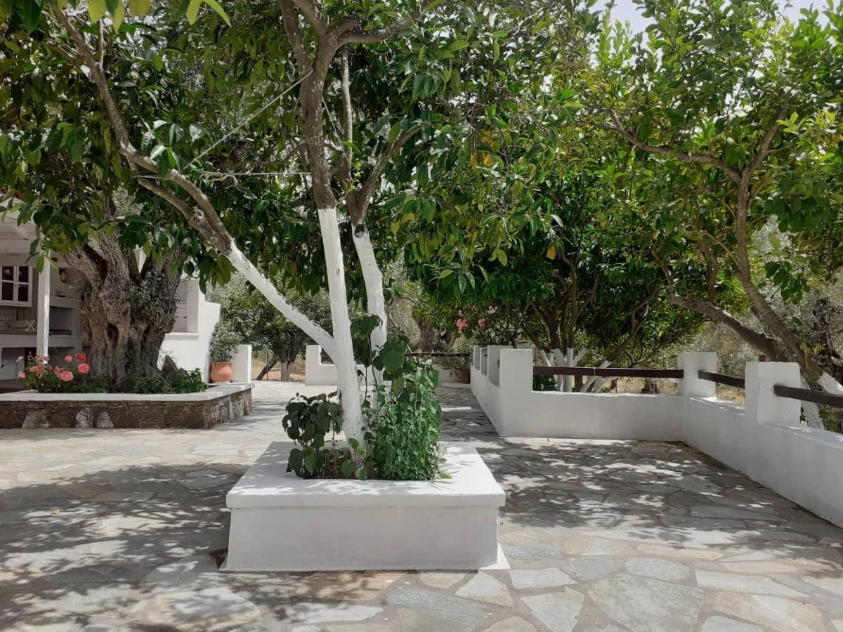 Villa Tillia Panormos  외부 사진