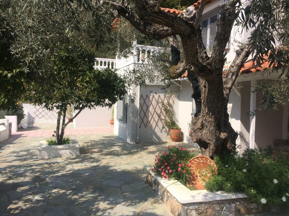 Villa Tillia Panormos  외부 사진